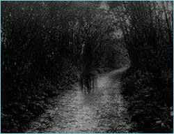 Nuestros Fantasmas en la Oscuridad de la Noche