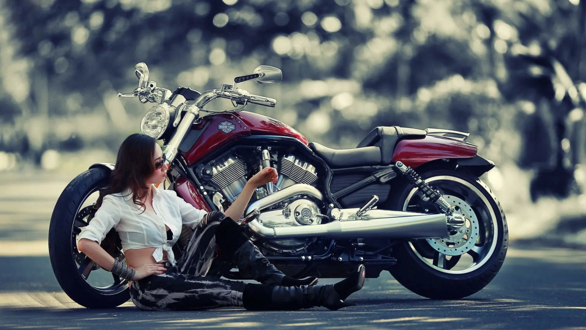 motores motores