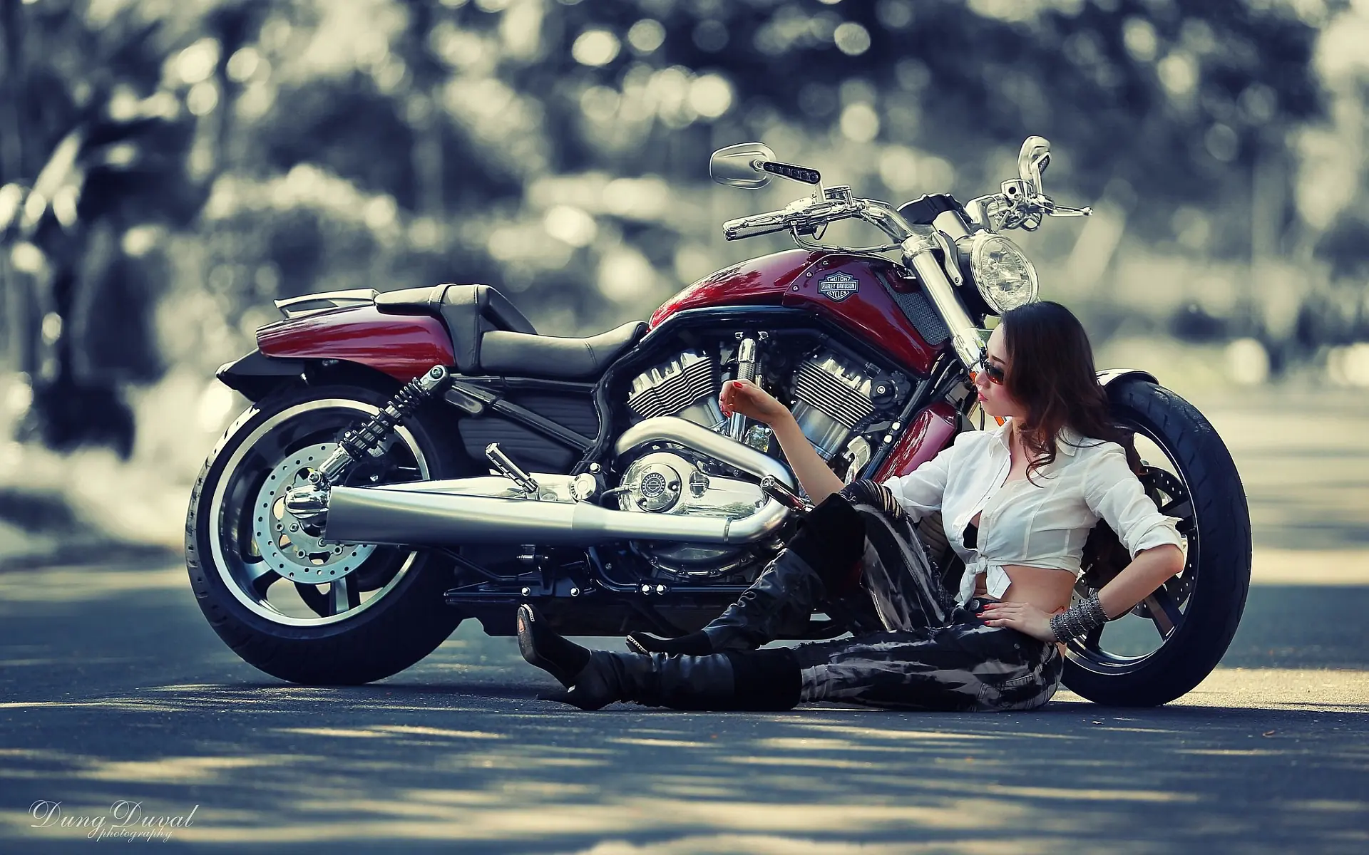 Harley Davidson 📸 Fotogalerias Harley Davidson 📸 Fotogalerias