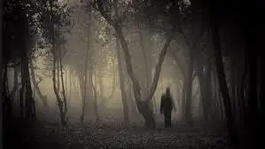 Nuestros Fantasmas en la Oscuridad de la Noche