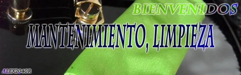 (IC) Mantenimiento guitarra