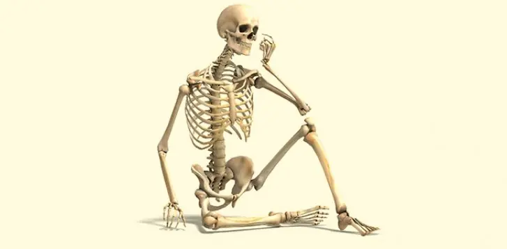 Cual es la parte mas fuerte del cuerpo humanoY Cual es la parte mas fuerte del cuerpo humanoY