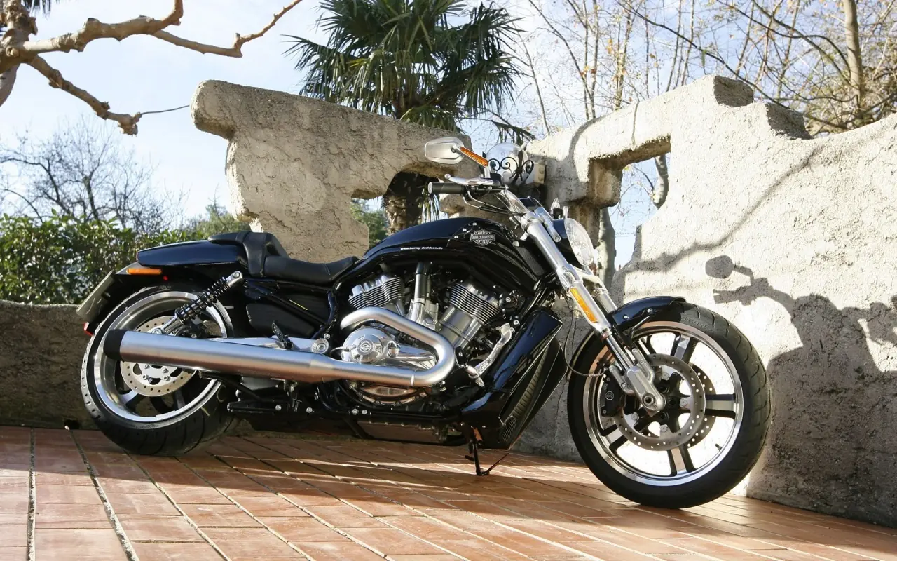Harley Davidson Harley Davidson