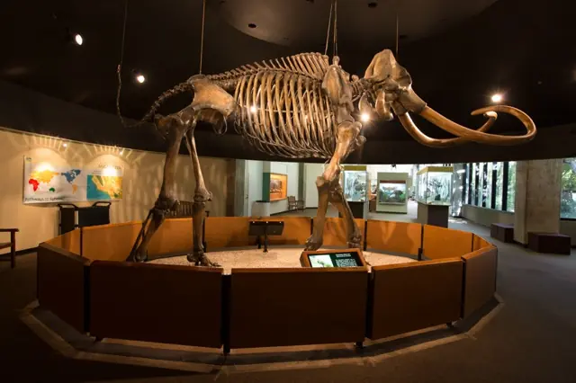 gigantesca