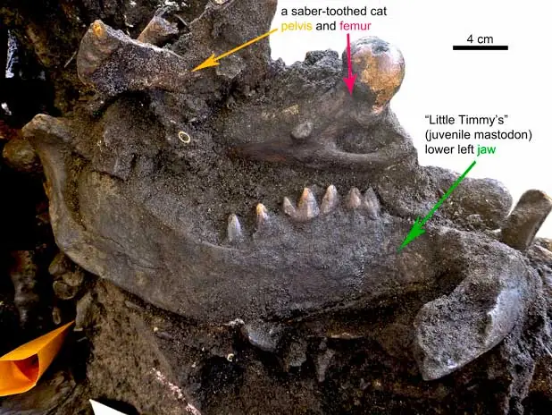 La gigantesca trampa mortal de los lagos de asfalto