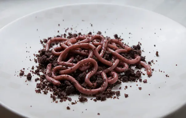 25 Comidas que son asquerosamente deliciosas. 25 Comidas que son asquerosamente deliciosas.