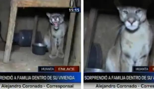 FAMILA