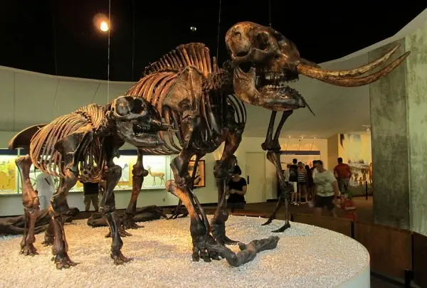 La gigantesca trampa mortal de los lagos de asfalto