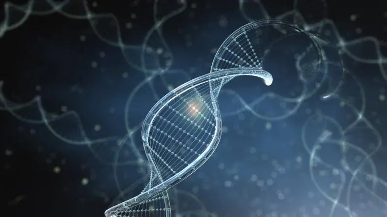 genes