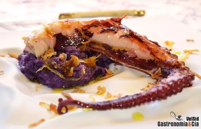 pulpo pulpo