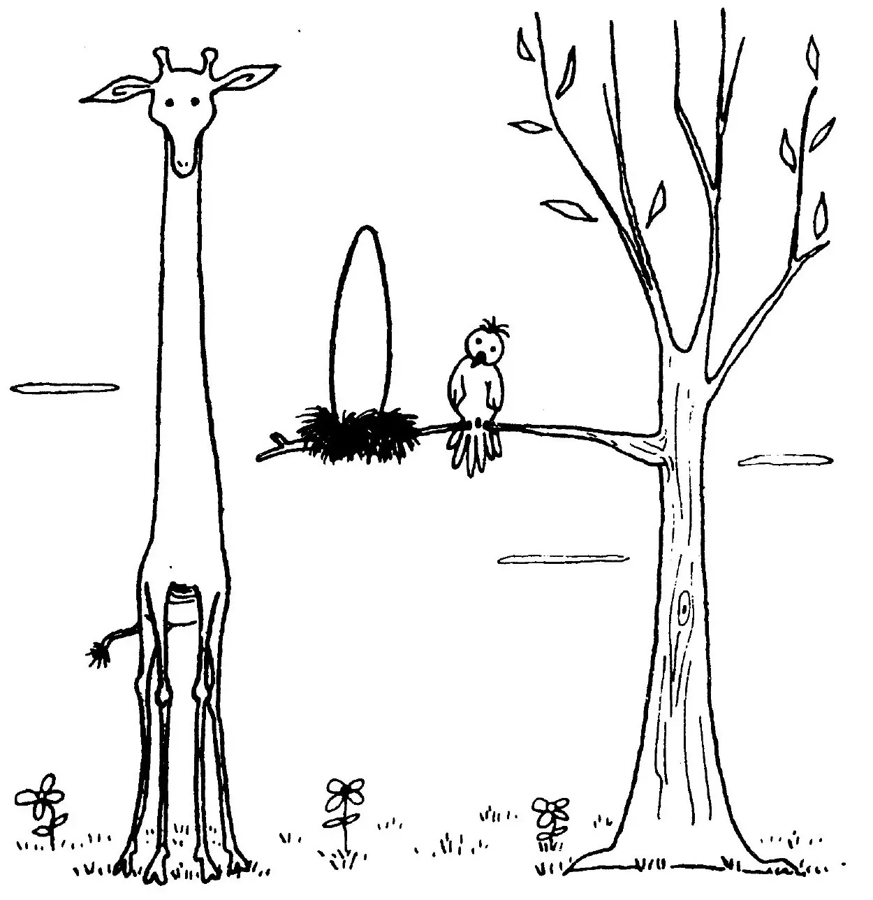 Quino
