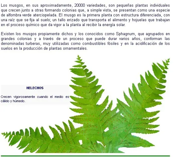 fisiologia