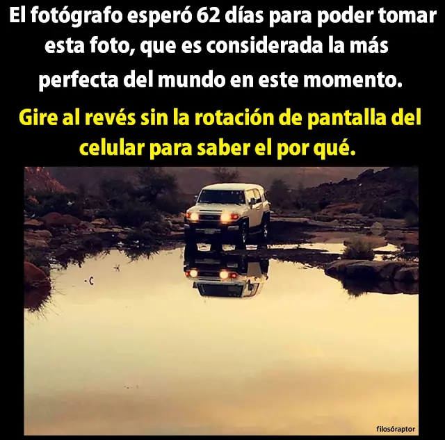 taringa