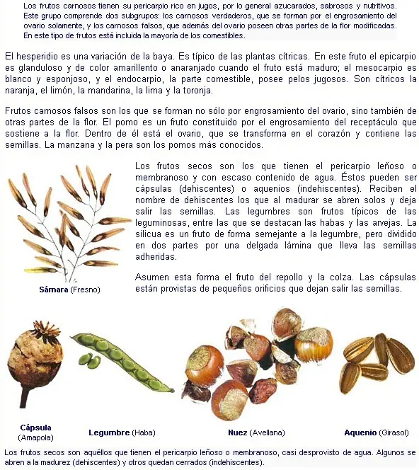 clasificacion