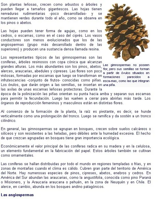 Botanica