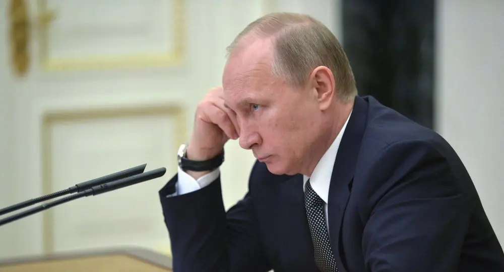vladimir vladimir