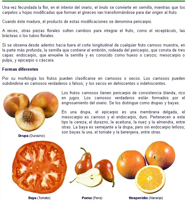 Informacion general sobre botánica