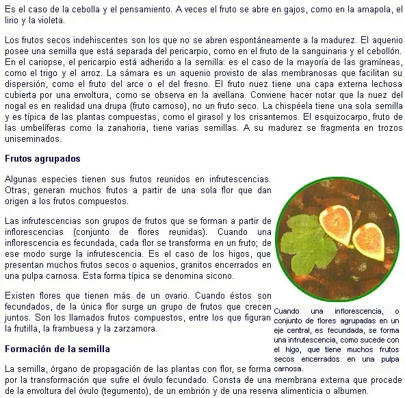 fisiologia