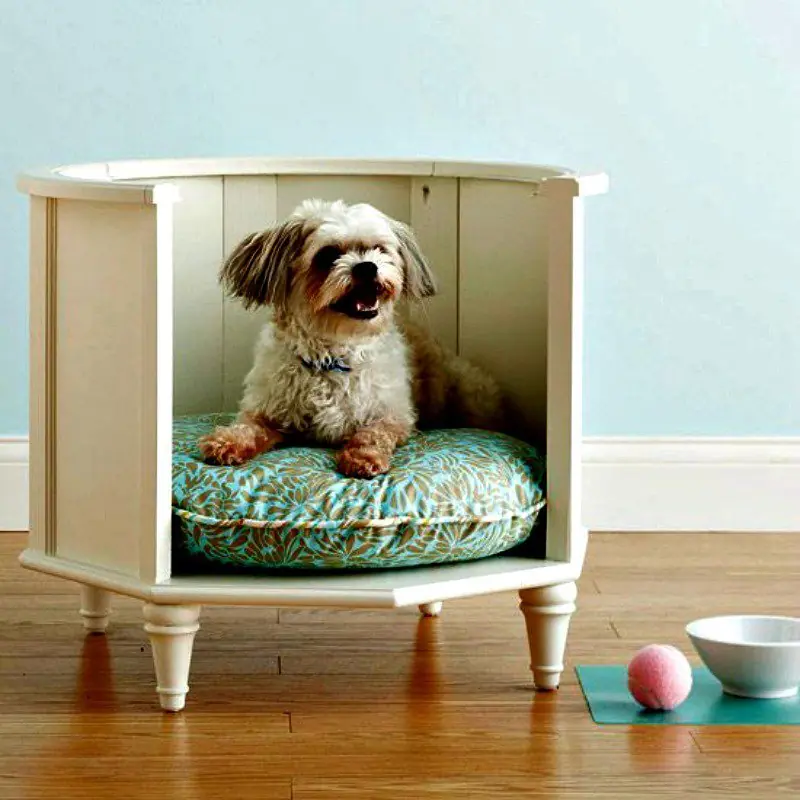 Compra lo necesario, no te encapriches.