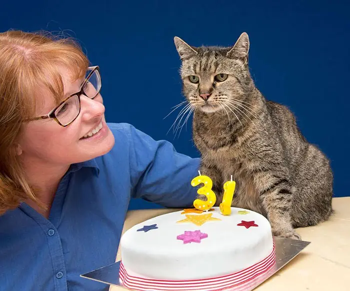 Un gato de 31 años de edad
