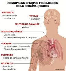 teorias conspirativas