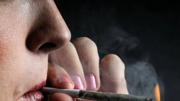 La marihuana te hace mas tonto