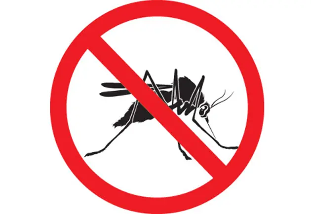 5 Estrategias efectivas para combatir los mosquitos