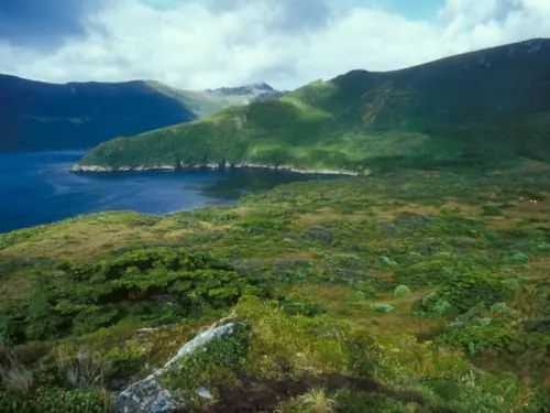 Isla de los estados