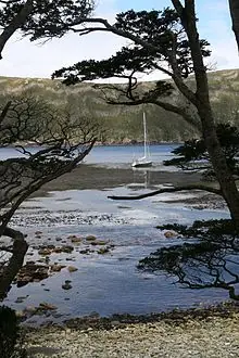 Isla de los estados