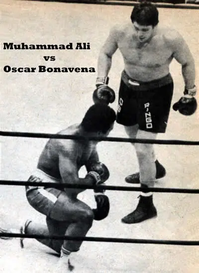 Boxeo Boxeo