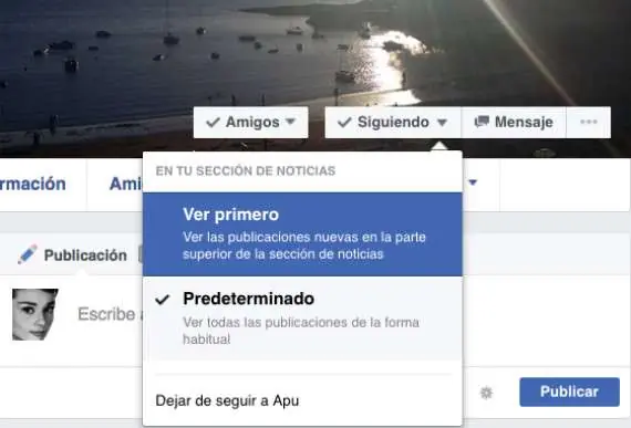 perfil