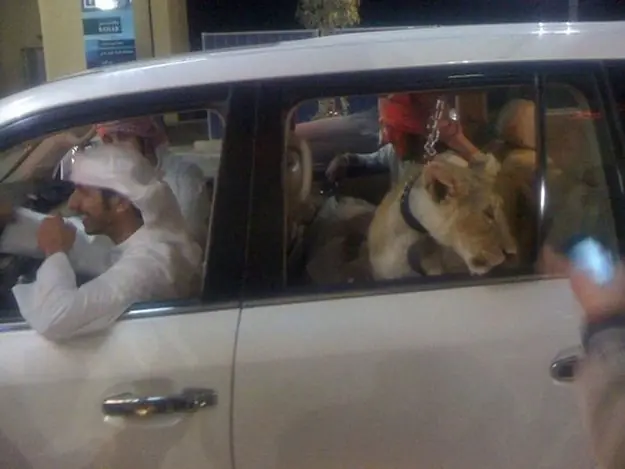 Fotos de Dubai… La lujosa y extravagante vida de esta ciudad
