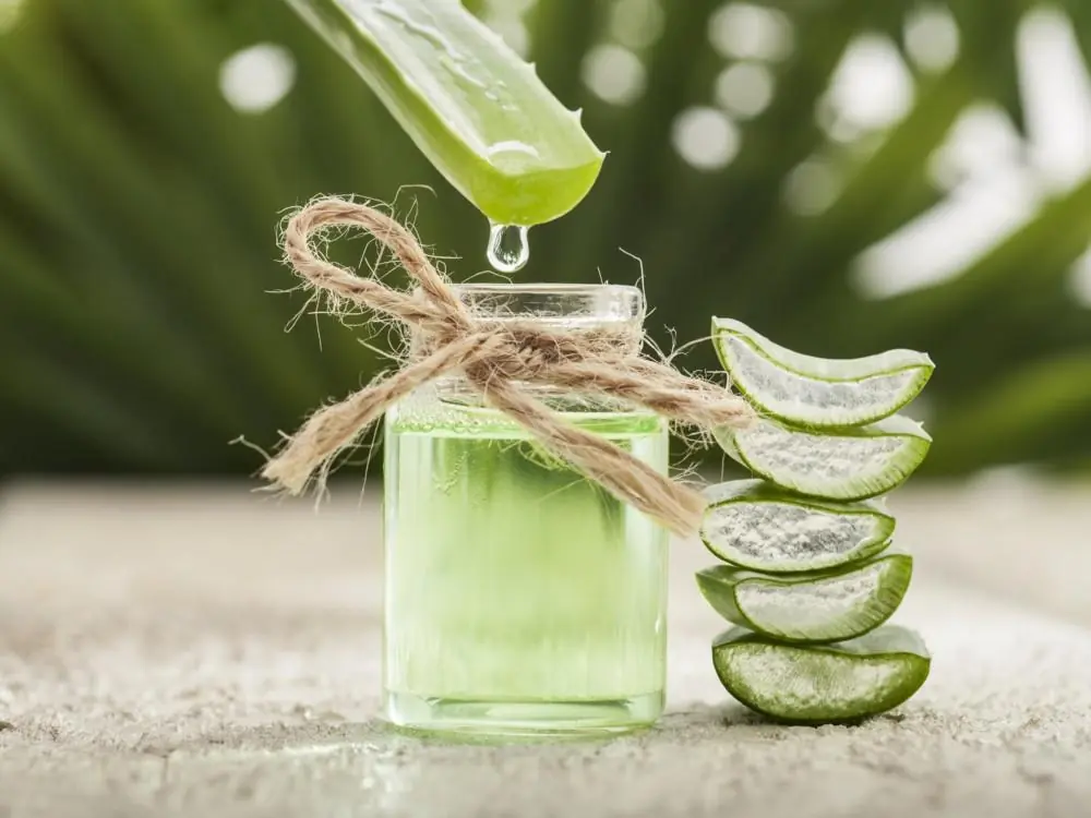 7 infuciones mejores que la mismisima agua