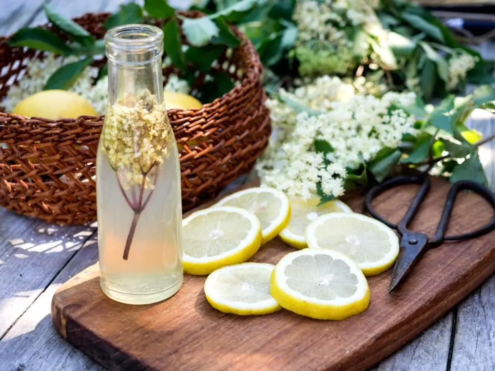 7 infuciones mejores que la mismisima agua