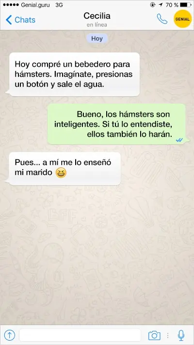 texto