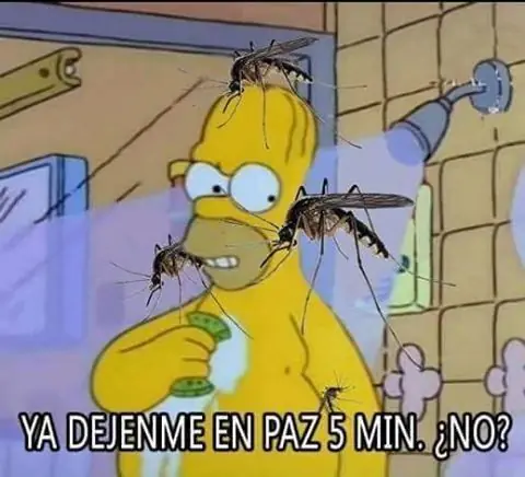 Humor