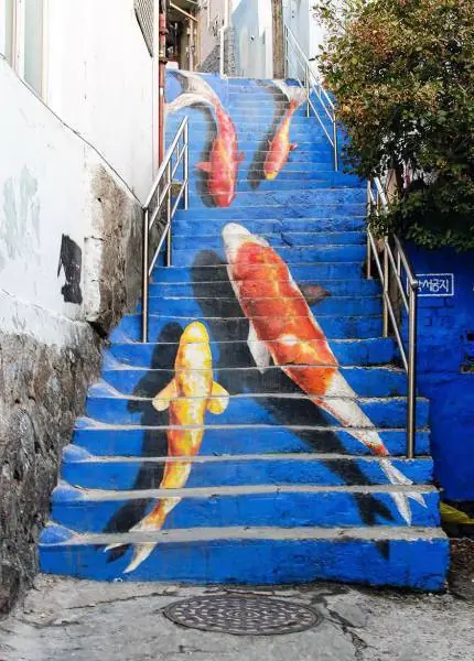 imagenes divertidas