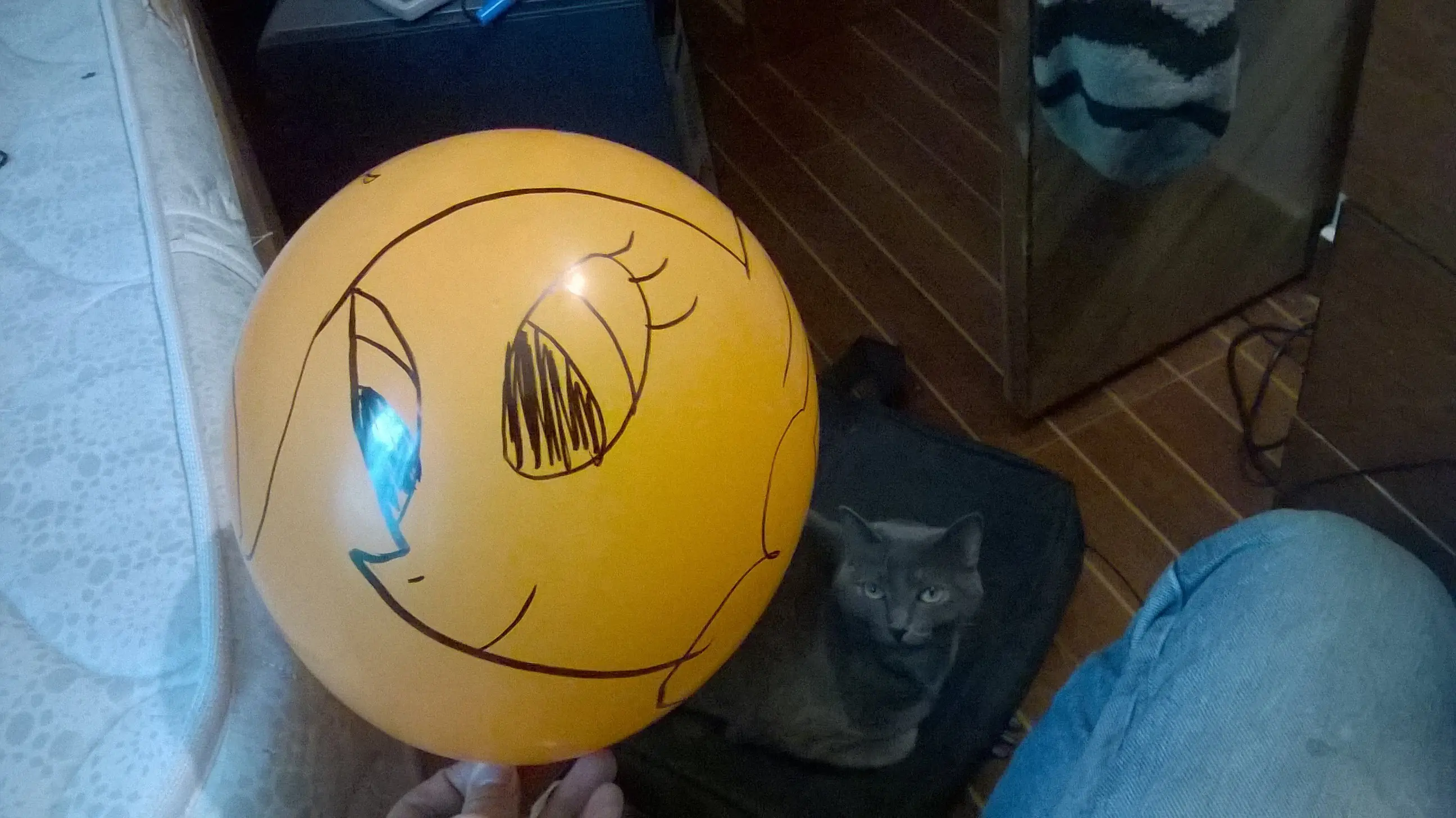 mi waifu se fue para siempre