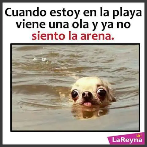 Semana
