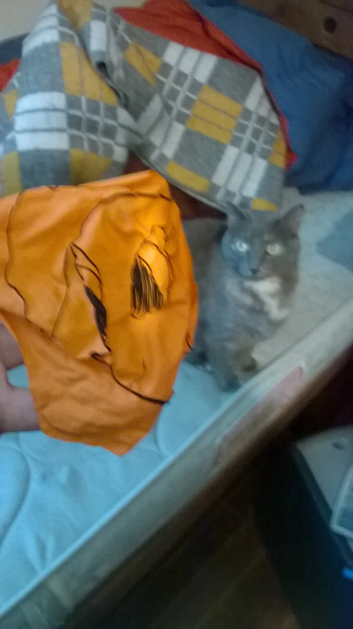 mi waifu se fue para  siempre