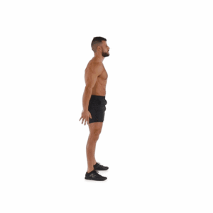 fuerza