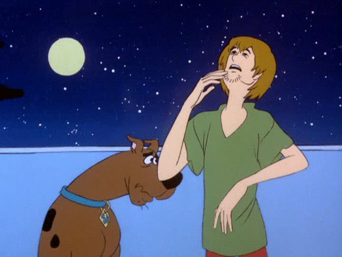 Shaggy yo te banco