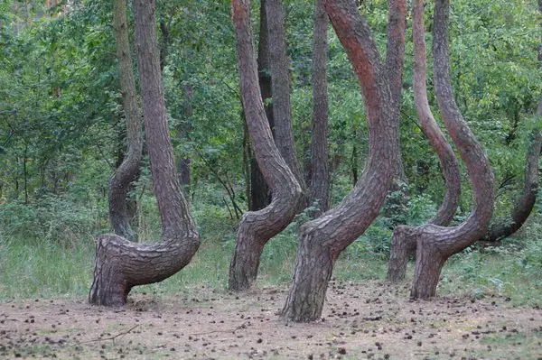 naturaleza naturaleza