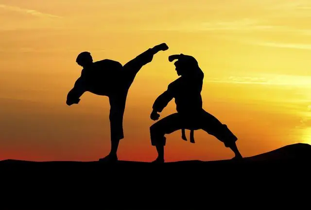 Estas son las 5 artes marciales más efectivas que existen