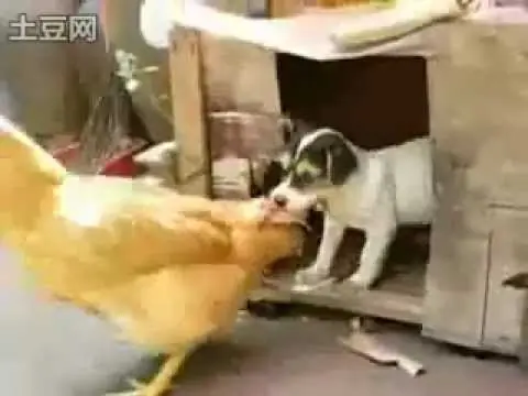 OJO : Que esto está pasando hoy en Santiago del Estero..!!