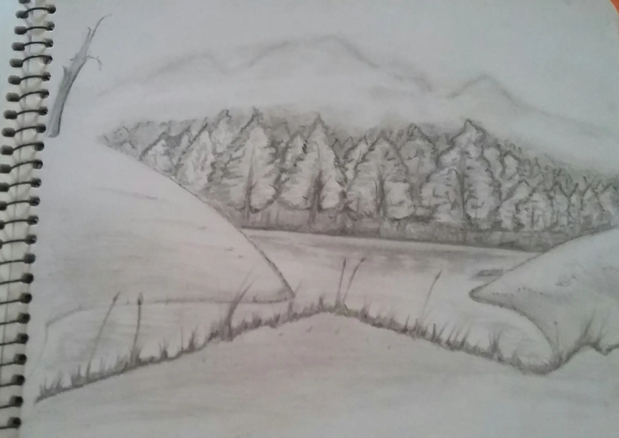 dibujos a lapiz