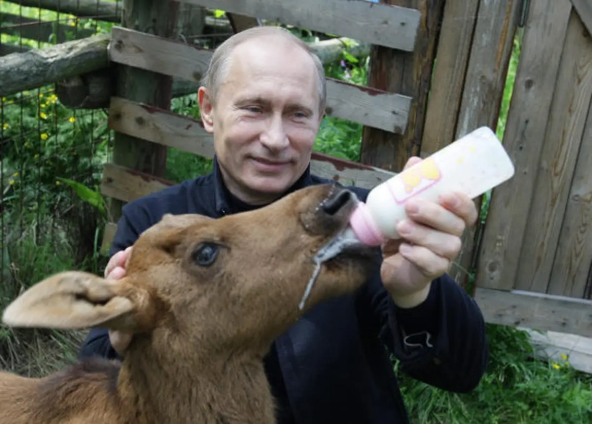 Putin cumple años hoy + Putin impreso en 3D + curiosidades Putin cumple años hoy + Putin impreso en 3D + curiosidades