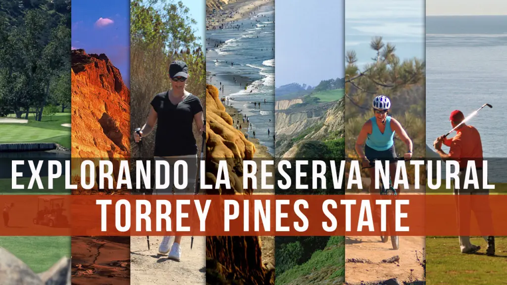 Explorando la Reserva Natural Torrey Pines State