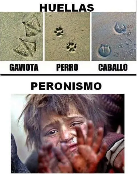 la degradacion Argentina