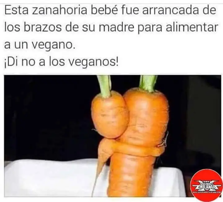 La dieta vegana reduce el tamaño del cerebro